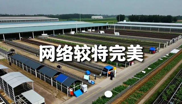 南京艾诺商务咨询有限公司让涵盖企业策划应用更加简单